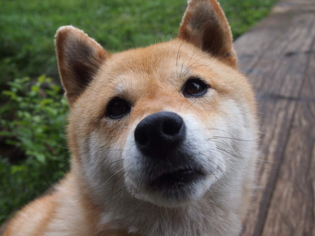 马拉松比赛设立环境友好竞赛标准，马拉松项目设置