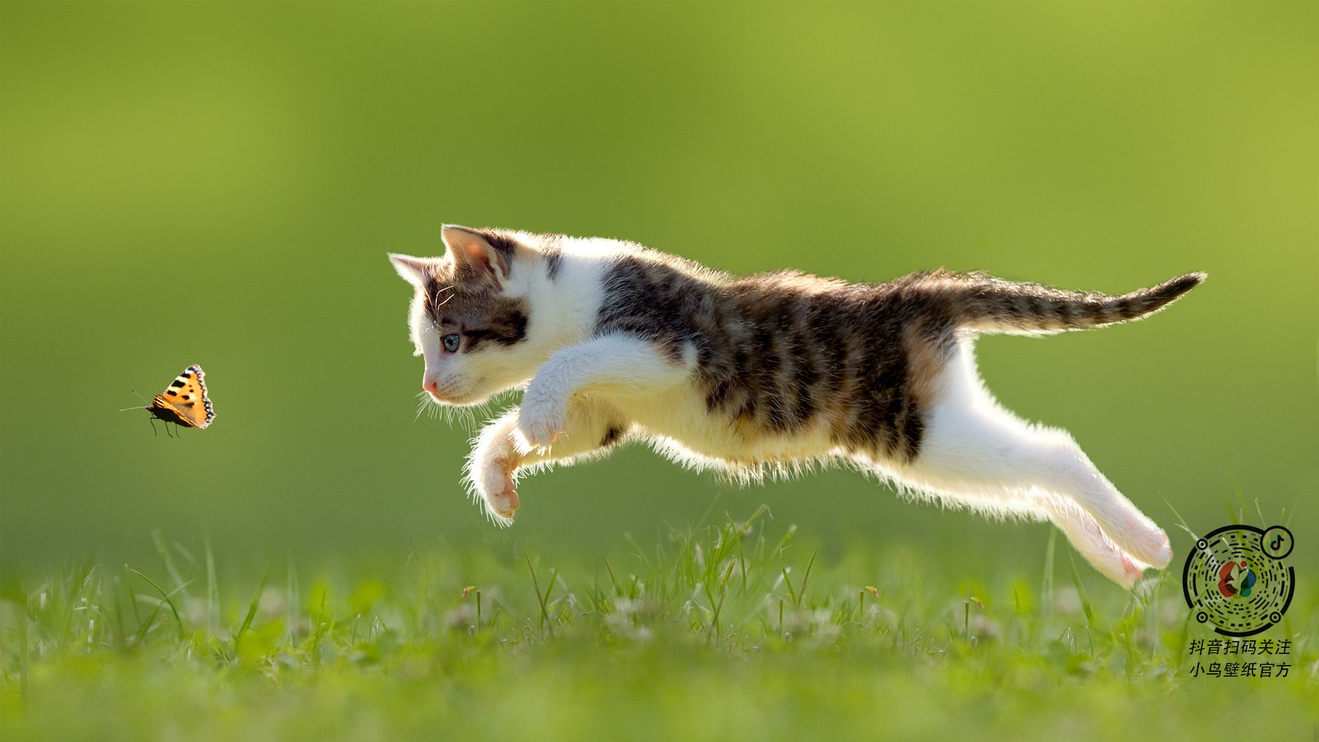 马拉松比赛设立环境友好竞赛标准，马拉松项目设置