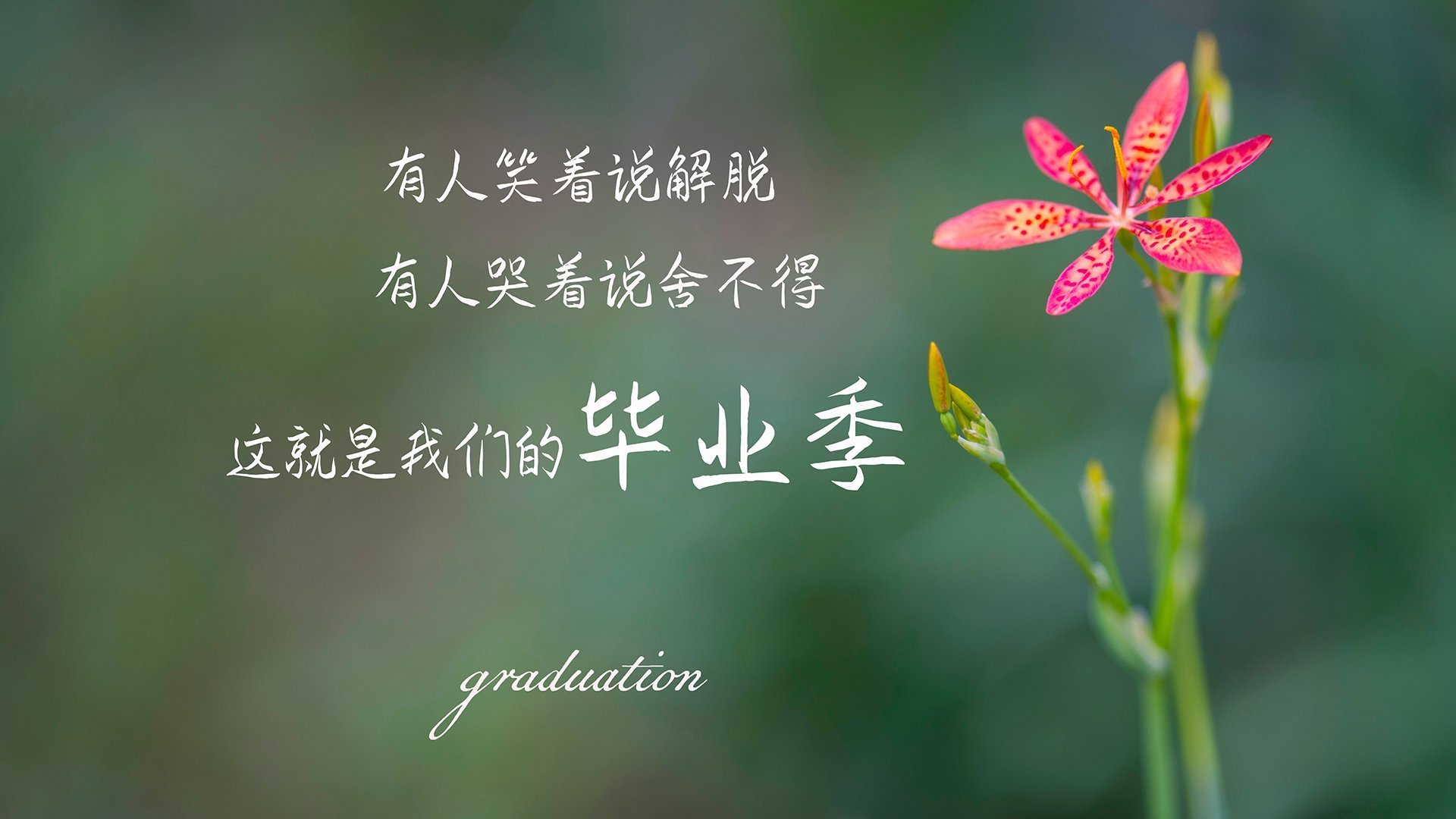 世界青年刀剑锦标赛中国选手夺冠，刀剑比赛规则